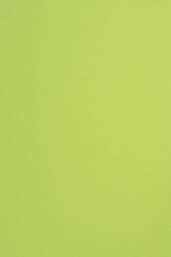 Netuno 100x Tonkarton Hellgrün DIN A4 21 x 29,7 cm 170g Sirio Color Lime Feinkarton farbig Bastelkarton bedruckbar Tonpapier Kreativkarton Schule basteln bedrucken Dekoration Karten Weihnachten