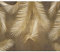 decomonkey Fototapete Blätter 300x210 cm Tapete Fototapeten Vlies Tapeten Vliestapete Wandtapete moderne Wand Wandbild Schlafzimmer Wohnzimmer Wanddeko Palmen Laub braun