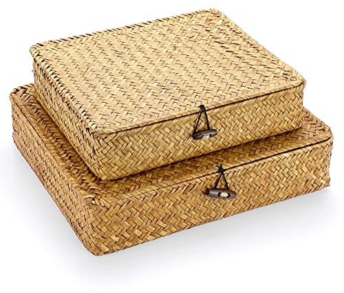 IGNPION Lot de 2 paniers de rangement plats en jonc de mer avec couvercle pour étagère, placard, coffre de rangement tissé à la main, buanderie, meuble TV (caramels)
