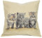 Kissenbezug Gobelin 4 Katzen Zierbezug Sofakissen Jacquard ..