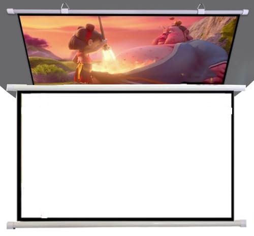 ZYXQQJ Filmleinwand Mobile Beamer Leinwand Ausziehbare Projektion Leinwand Manuell Projektionswand Für Heimkino Kino Büro Film TV Spiel(4:3,30inch)