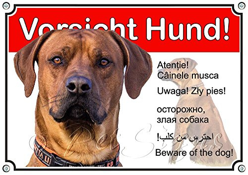 Petsigns Hundeschild - Rhodesian Ridgeback - Metall Warnschild - wetterfest, DIN A5