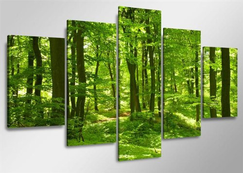 Visario 160 x 80 cm Bild auf Leinwand grün Wald 5507-SCT deutsche Marke und Lager - Die Bilder/das Wandbild/der Kunstdruck ist fertig gerahmt