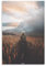 Feld Kakashi Poster, dekoratives Gemälde, Leinwand, Wandkunst, Wohnzimmer, Poster, Schlafzimmer, Gemälde, 40 x 60 cm