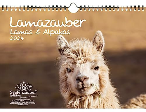 Lamazauber DIN A4 Kalender für 2024 Lama Alpaka - Geschenkset Inhalt: 1x Kalender, 1x Weihnachtskarte (insgesamt 2 Teile)