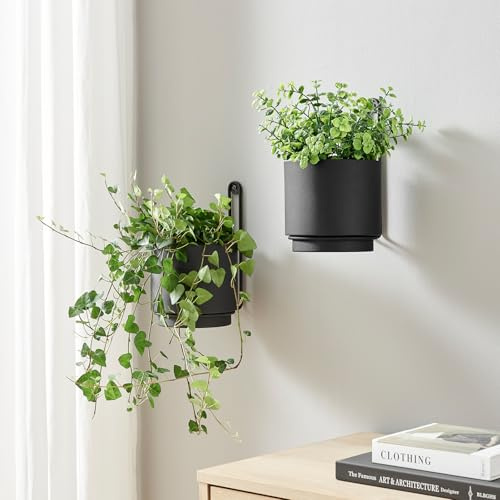 CISEANOL 2 Stück wandmontierte hängende Pflanzgefäßvase für Innen- und Außenpflanzen, moderner Metall-Wand- und Decken-Pflanzgefäß, minimalistischer Blumentopf (schwarz, 15 cm)
