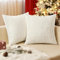 EMEMA Kordsamt Kissenbezug Granulat Dekorative Sofakissen Dekokissen Kissenbezüge Couchkissen Kissenhülle Weich Kissen Bezug Zierkissen für Sofa Couch Wohnzimmer 2er Set 45x45 cm Beige