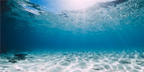 MIRRORANG 61x30cm Durable Vinyl Undersea Ocean Floor Aquarium Background Tropical Tank Background