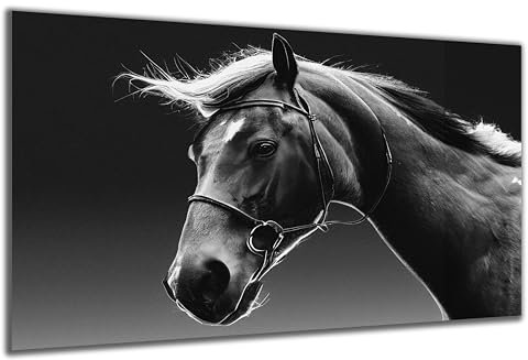 DARO Design - Wand-Bild auf 6mm HDF 84x56 cm Pferde-Kopf schwarz weiß - Wand-Deko Bilder Geschenk
