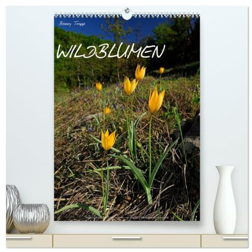 WILDBLUMEN (hochwertiger Premium Wandkalender 2026 DIN A2 hoch), Kunstdruck in Hochglanz: Schönheiten der europäischen Flora im Bild (CALVENDO Orte)