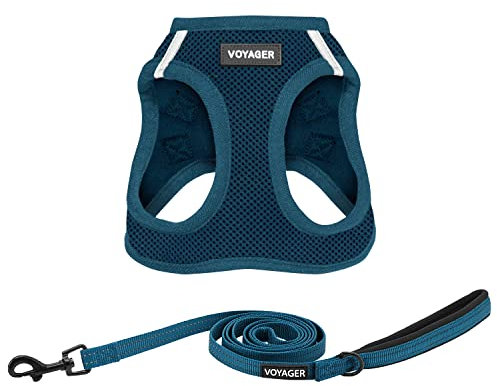 Voyager Step-in-Air-Katzengeschirr – Allwetter-Netzgewebe für kleine und mittelgroße Katzen von Best Pet Supplies – Geschirr-Leinen-Set (Blau), XXXS