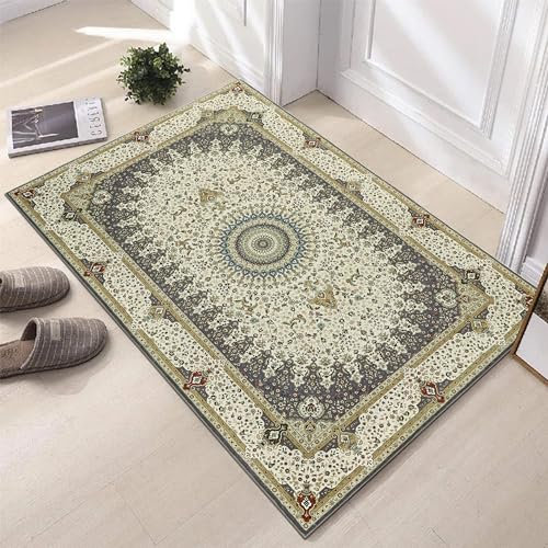 Hafaa Door mat 40x60 cm - Indoor & Outdoor Doormats Machine Washable Non Slip - Super Soft Heavy Duty Kitchen Floor Mat Dirt Trapper Entrance Mat, Willow Grey