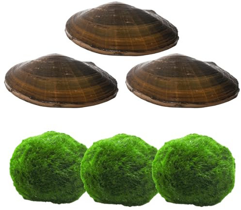 Natürlichers Teichfilter Set | Natürliche Teichpflege für einen klaren & sauberen Gartenteich & Fischteich | 3X Japanischer Marimo Algenball & 3X Teichmuschel