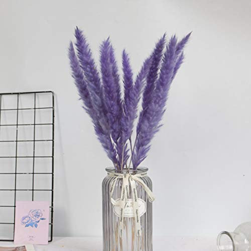 SWECOMZE 15 Stück Pampasgras Getrocknet Deko, Natürliche Trockenblumen, Getrocknete Blumen für Schlafzimmer Wohnzimmer Badezimmer Inneneinrichtung (Violett)