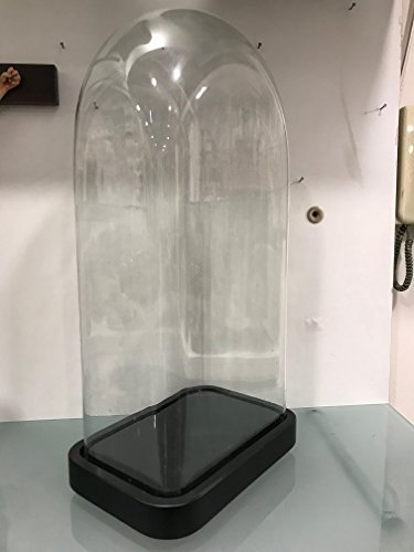 Euro Glass Angelo Campana di Vetro Rettangolare 28x18xh60 Napoleone