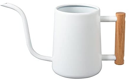 IMEEA 1L Indoor-Gießkanne Zimmerpflanzen ,Moderne Giesskannek kleinere Topfpflanzen Edelstahl-Gießkanne mit langem Auslauf komfortablem Holzgriff für Zimmerpflanzen Pflanze Sukkulenten Bonsai(Weiß)