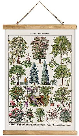XIAOAIKA Vintage Baum Poster mit Holzrahmen, Retro Stil Wanddekoration Kunst Malerei, Muster gedruckt auf Leinen ohne Verblassen, fertig zum Aufhängen (30 x 40 cm)