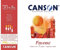 CANSON Figueras, Papel óleo, Grano imitación lino, 290gsm, Bloc encolado por lado largo, A2-42x59,4cm, Blanco, 10 hojas
