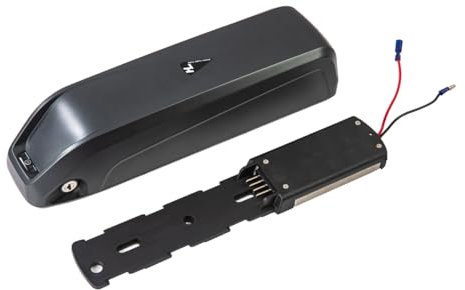TNLi TEC Batterie de vélo électrique 36V 10,4Ah Hailong Batterie pour vélo électrique Prophete MiFa Vaun, avec Chargeur et Support
