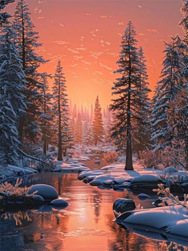 Malen Nach Zahlen Erwachsene Winter Malen Nach Zahlen Schneeszene Malen Nach Zahlen ab 7 8 9 10 Jahre Mädchen Geschenk, Paint by Numbers Leinwand, 3 Pinsel und Acryl Farben Wanddeko 70x100cm t-768