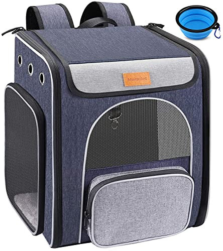 Katzenrucksack Katzen Rucksack für Kleine Hunde Welpen Katzen mit Fenster, Faltbare Haustier Transport Rucksack Hunderucksack für Katze Hunde mit Anti-offener Reißverschluss Abnehmbares Stützpolster