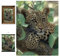 3D LiveLife Linsenförmige Wandkunst Drucke - Baumumarmer von Deluxebase. Ungerahmtes 3D Leopard Poster. Perfekter Wandfüller. Original kunstwerk lizenziert von bekannt künstler, Collin Bogle