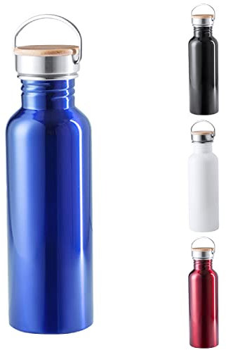 TIENDA EURASIA® Botella de Agua de Acero Inox, 800 ml, Cuerpo de Acero Inox y Tapon a Rosca con Asa de Transporte, Bidon Vintage para Camping, Gimnasio, Oficina, Botella Resistente, Color Azul