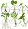 yarlung 6er Set Wandbehang Pflanzgefäß Terrarium Klarglas Pflanzen Vase Wandhalterung für Vermehrung Hydrokulturpflanzen Zimmerluftpflanzen Stilvolle 6 Formen (Pflanzen Nicht enthalten)