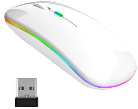 Souris sans Fil Rechargeable - Bluetooth Souris Rétroéclairée de 7 Couleurs avec récepteur USB et Souris Bluetooth 5.0 sans Fil Souris pour Ordinateur Portable, PC, MacBook, Notebook, Tablette, Blanc