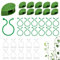 NAROSEBE 160pcs Pflanzenclips Kletterpflanzen Pflanzenhalter Wand Selbstklebend, Pflanzenklammern Kleben, Pflanzen Rankhilfe Clips Kletterhilfe Zimmerpflanzen Wand für Gardening Gemüse