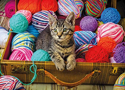 Ceaco - Garry Gay - Curious Kitty - 1000 Teile Puzzle