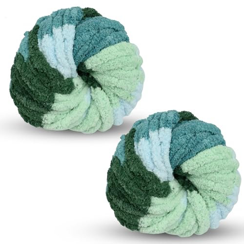 Chunky Wool Yarn 250g × 2, Multi-Colored Knitting Yarn for Crochet, 2cm Soft Knitting Wool for Making Handmade Bags Hats Blankets Pillow Cushion Cat Bed