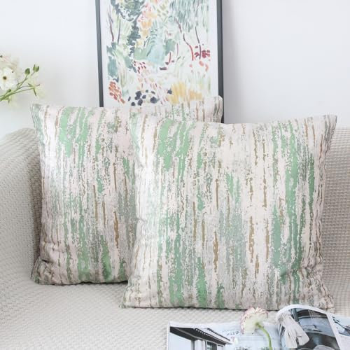 NIULAA Samt Kissenbezug 40x40 2er Set Grün Kissenbezüge Vintage Sofakissen Couchkissen Aesthetic Dekokissen Kissenhülle Deko Kissenhüllen Quadratisch Zierkissen Wohnzimmer Couch
