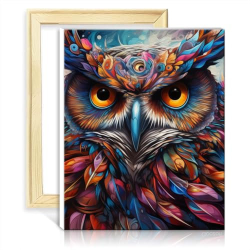 TANGFEIY Malen-nach-Zahlen-Set, Fantasie-Eule, DIY, Acrylbild für Anfänger, Malen nach Zahlen, Acrylzahlen mit Pinseln, Heimdekoration, Gemälde, Geschenk, ohne Rahmen (30 x 40 cm)