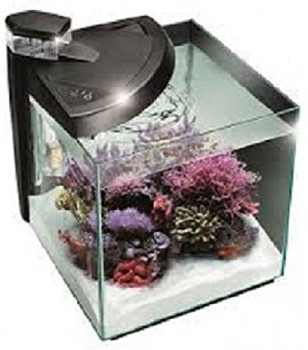 NEWA MORE 50 REEF NERO