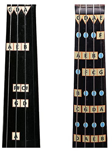 Fantastische Violin-Fingerführungen – Kombipack: D-Dur, Anfängeranleitung und alle Noten Violin-Fingerführungen für Violine in voller Größe (4/4)