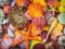 Ceaco - Sensory - Seestern und Muscheln - 750 Teile Puzzle