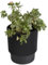 B2C Plant Pots Flower Planter 3 Colours 3 sizes Plastic Pot Modern Elegant Textured Modern Home Garden Indoor Outdoor use Convex stripes (Black, W17cm x H19cm)