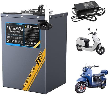 JHKJ Batterie pour Moto électrique 48 V, 60 V, 72 V, 15 Ah, 30 Ah, 45 Ah, 60 Ah. Batterie Lithium-Fer-Phosphate 60 Volts avec Chargeur pour Moteur de cyclomoteur.,48v,60Ah