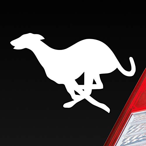 Hellweg Druckerei Windhund Hund Dog Animal Tier Auto Aufkleber Sticker Heckscheibenaufkleber