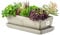 botle Keramik Blumentopf Blumenschale Kakteenschale Untersetzer Wasserloch Kakteen Bonsai Sukkulenten (rechteckig, Beton grau)