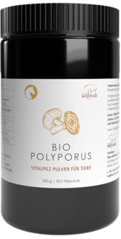 Pilze Wohlrab - Bio Polyporus Pulver für Tiere - 300 g - Eichhase Vitalpilze Pulver mikrofein - Höchste Bio-Qualität
