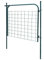 LAPOOH Gartenzauntor, Gartentür, Gartentüren, Gartenzaun Tür, Zauntür, Flügeltore, Garten Türe, 100 x 100 cm Grün