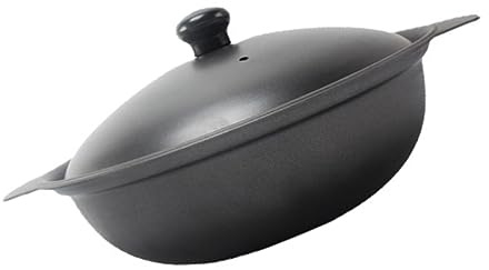 RORPOIR Cast Iron Casserole Pot 20cm with Lid Household Small Iron Clay Pot for Yellow Stewed Chicken Braised Rice Cooking