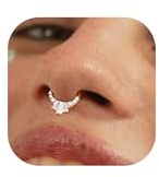 BodyBonita 16G Septum Piercing Schmuck – 316L Edelstahl Nasenring Nasenpiercing mit Zirkonia für Frauen Männer Conch Helix Piercings Tragus Daith Knorpel Ohrpiercing 14 Karat Gold/Silber 8 mm/10 mm
