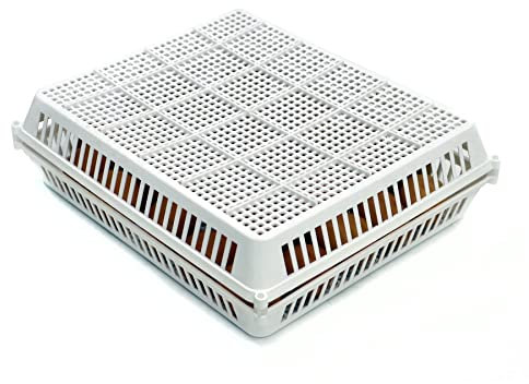 Hatching Time Incubateurs CT Series – Panier à œufs de poule divisé, plastique ABS durable, facile à nettoyer