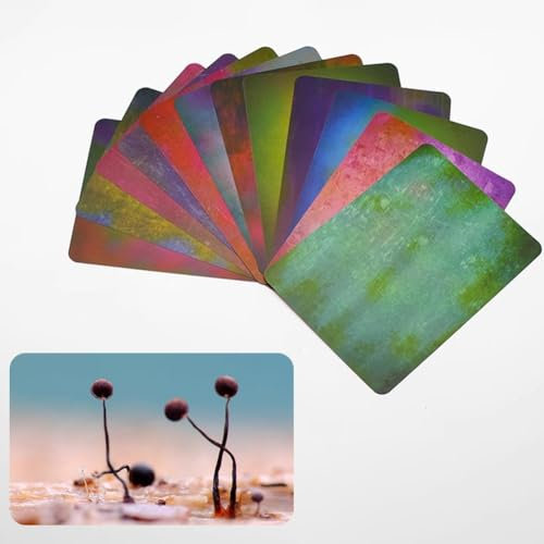12Pcs Macro Photography Background Cards, Multicolor Light Photography Blurring Background, Small Product Photography Backdrop Board Kit for Micro Tabletop Shooting Images of Food and Jewelry