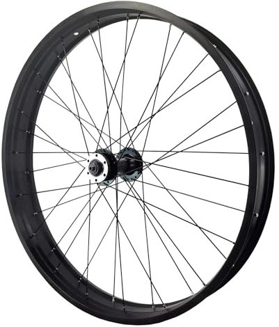 LYYCX 26 x 4.0 Zoll Fat Tire Bike Vorderrad Laufrad, Aluminiumlegierung Schnellspanner Fahrradfelge Snow Beach eBikes Laufrad