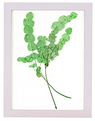 Rahmendesign24 Milano - Marco de fotos doble de cristal (30 x 40 cm), color blanco
