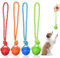 Vaileal 4 Palline per Cani Con Corda - Giocattolo per Cani di Piccola, Media e Grande Taglia (Quattro Colori)